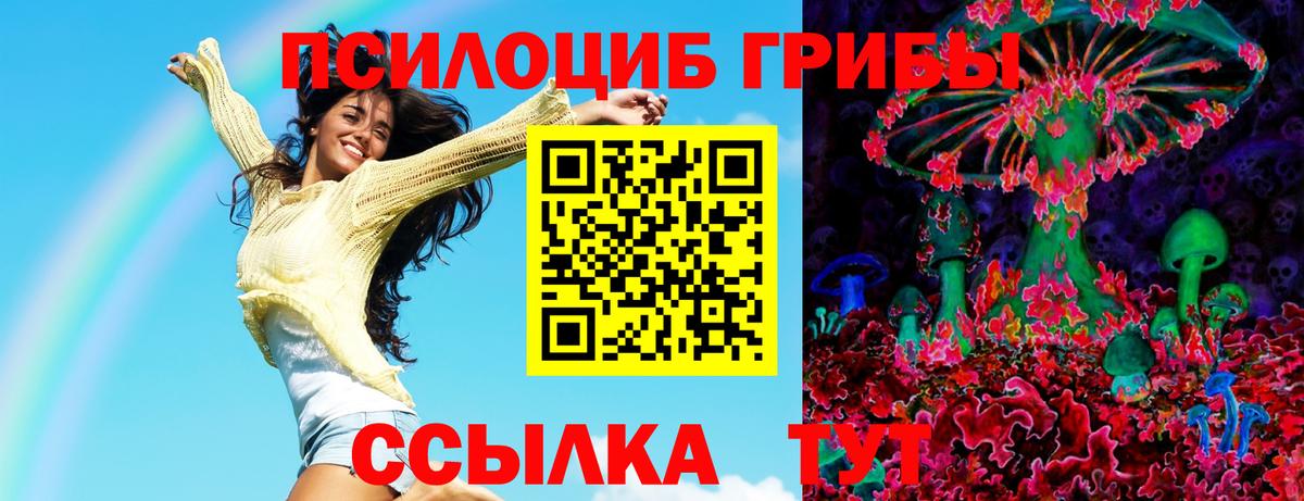 Волхов  Галлюциногенные грибы мухоморы  Вход с VPN  Псилоцибиновые грибы Magic Shrooms 
